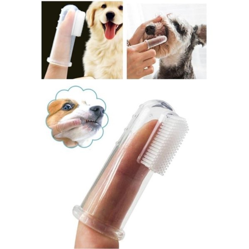 Kedi Köpek Diş Temizleme Fırçası image
