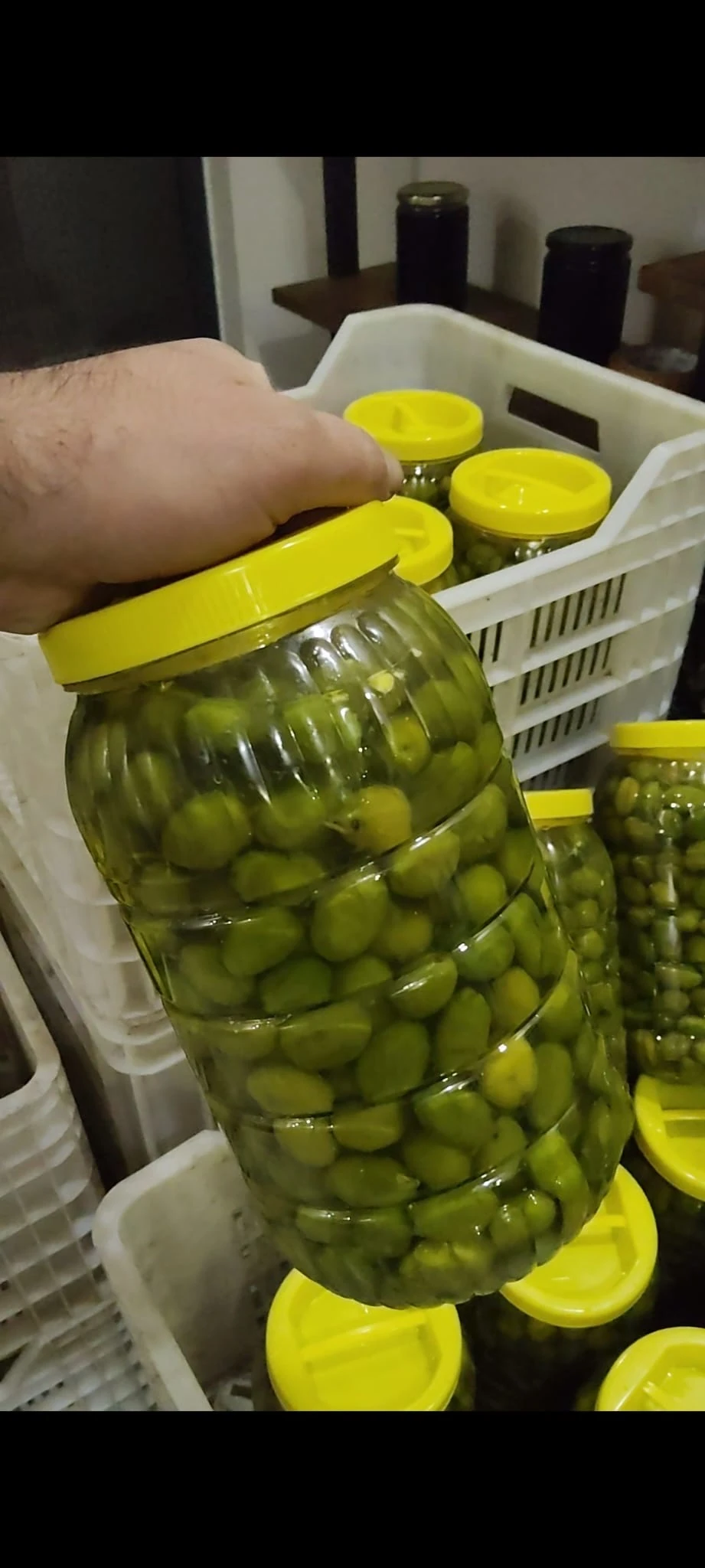 Çekişte Kırma Zeytin - 6 Kg