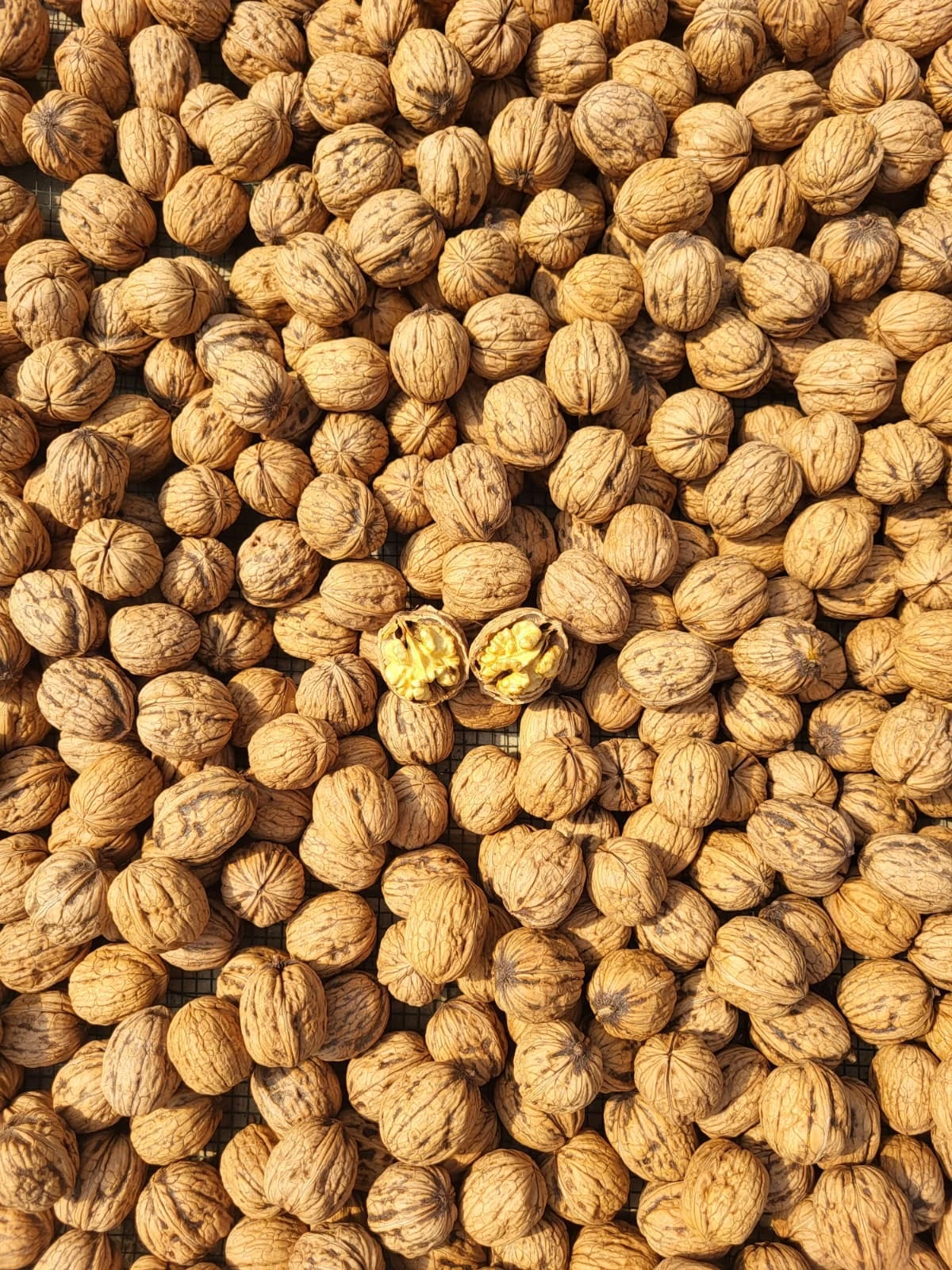 Yerli ceviz , İnce kabuk - 1 kg 