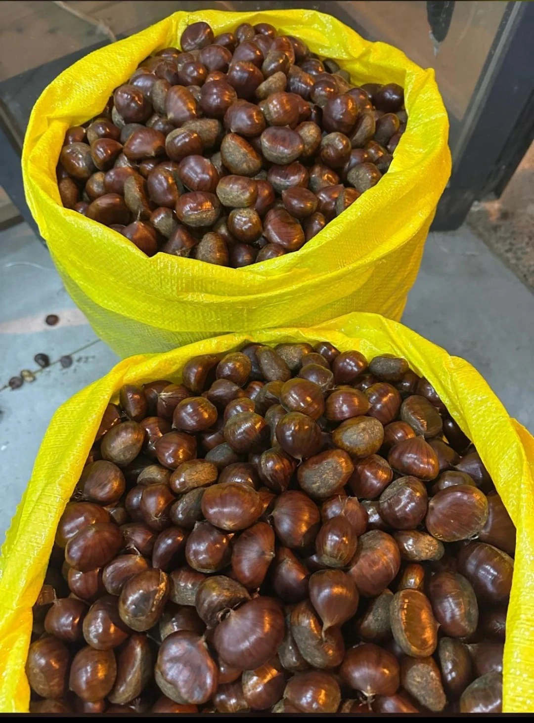 Nazilli Şekerci Cinsi Kestane - 1 Kg