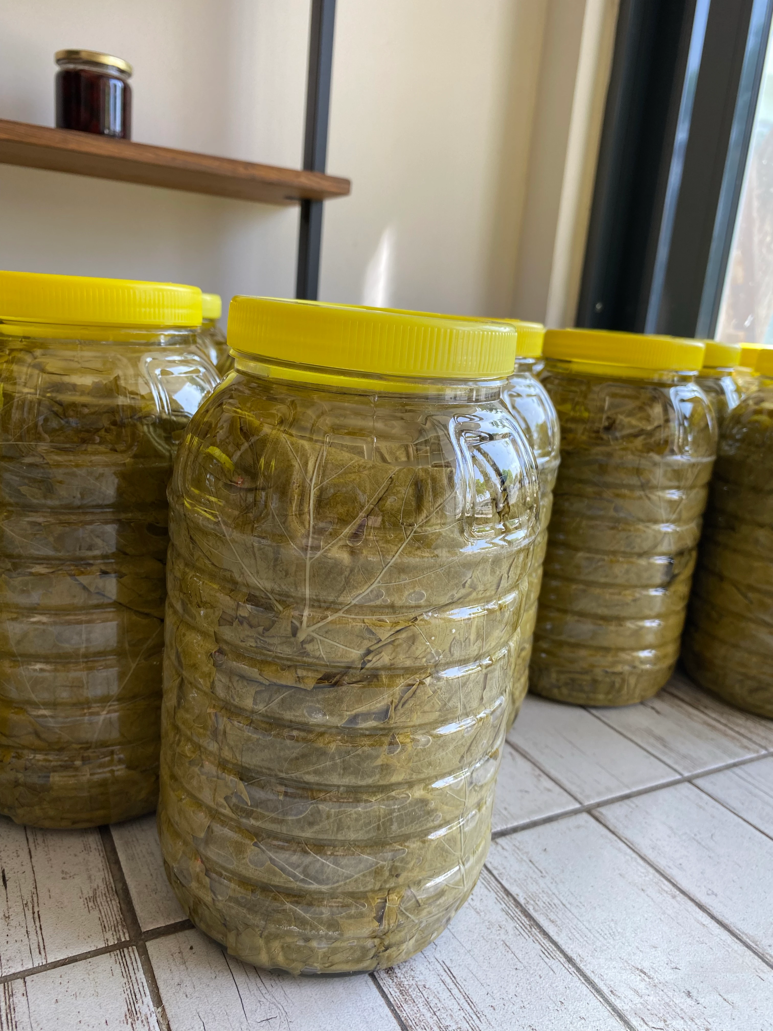 3’lük Pet Salamura Yaprak 