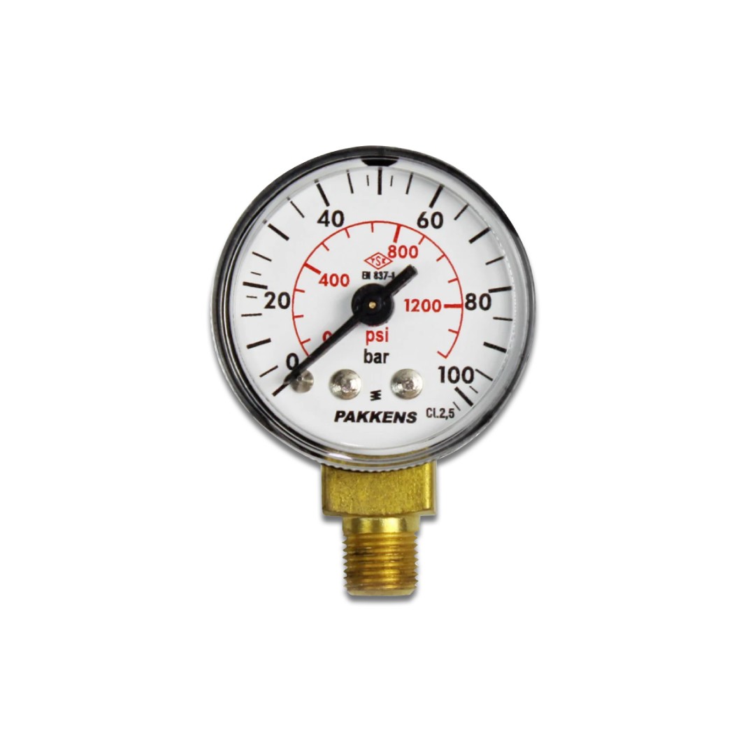 Pakkens 0-100 Bar 40 mm Bottom Connection Dry Manometer G 1/8 inch