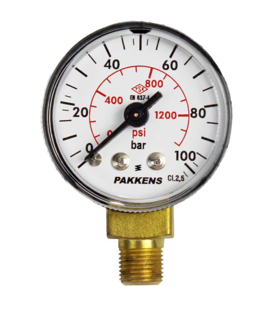 Pakkens 0-100 Bar 40 mm Bottom Connection Dry Manometer G 1/8 inch