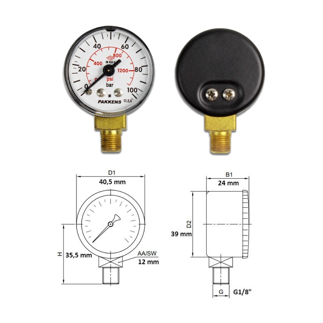 Pakkens 0-100 Bar 40 mm Bottom Connection Dry Manometer G 1/8 inch