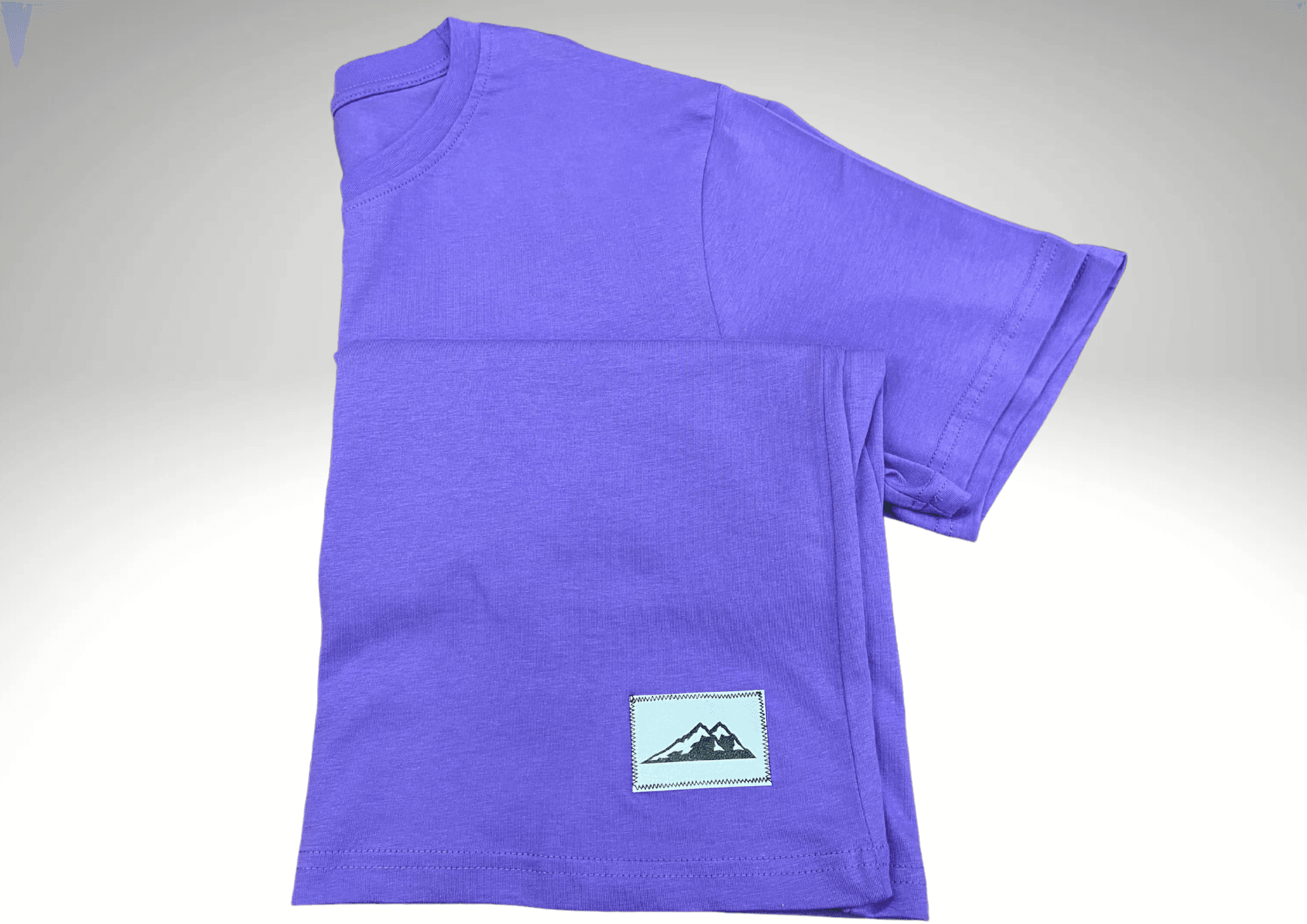 Basic Eflatun T-Shirt