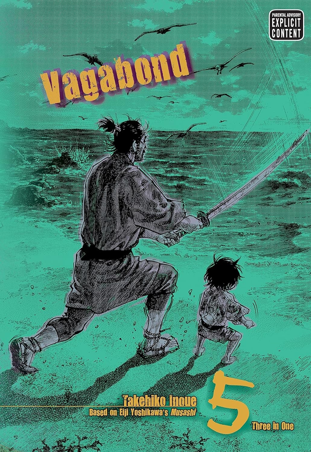 Vagabond, Vol. 5 (VIZBIG Edition)