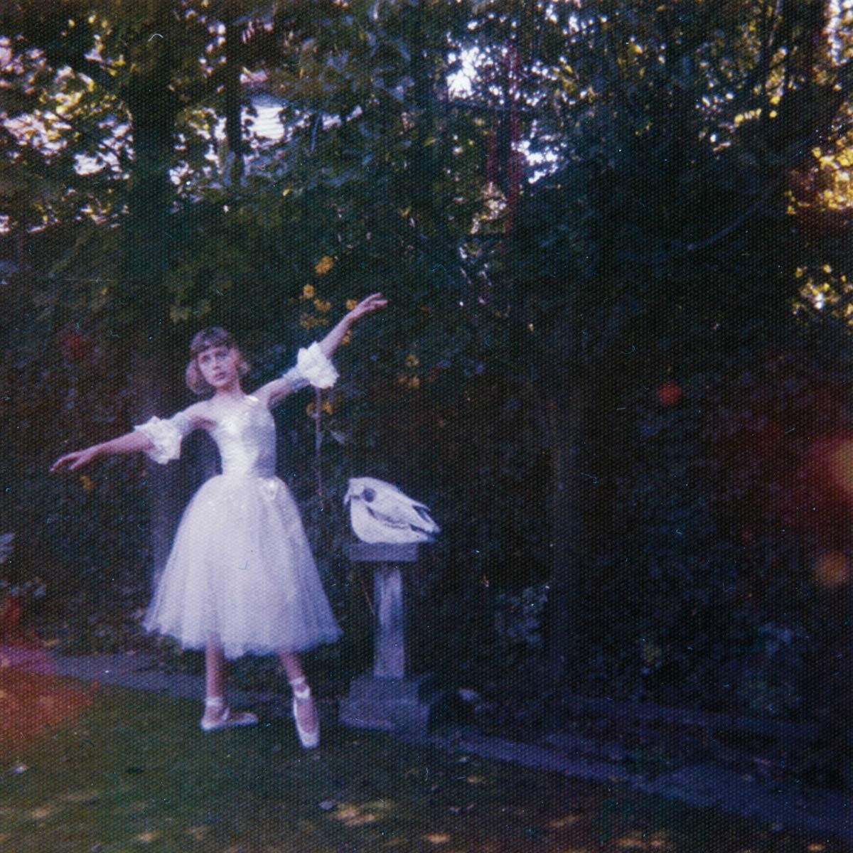 Wolf Alice - Visions Of A Life (2LP/GF)