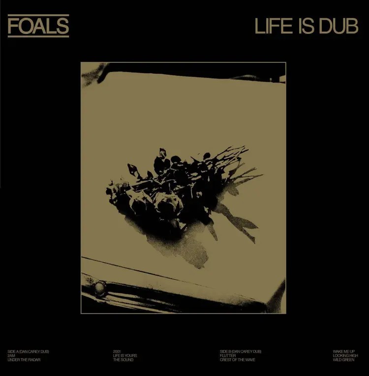 Foals Life Is Yours - Life Is Dub