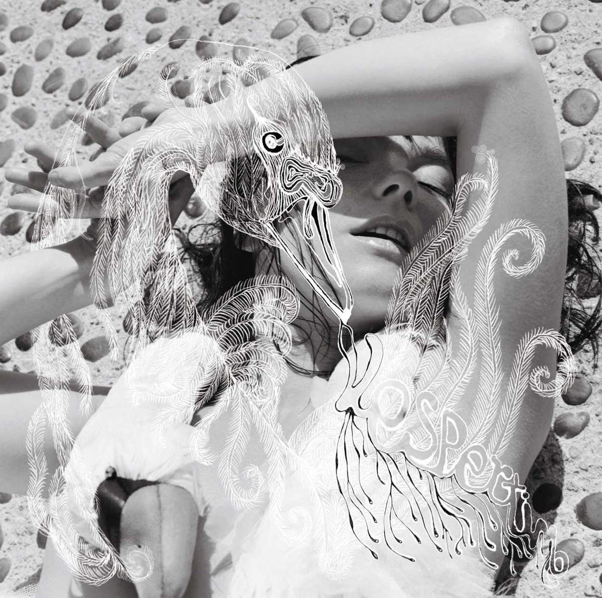 Björk  Vespertine