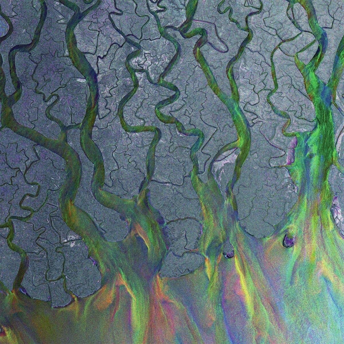 alt - j - An Awesome Wave  (White Vinyl)