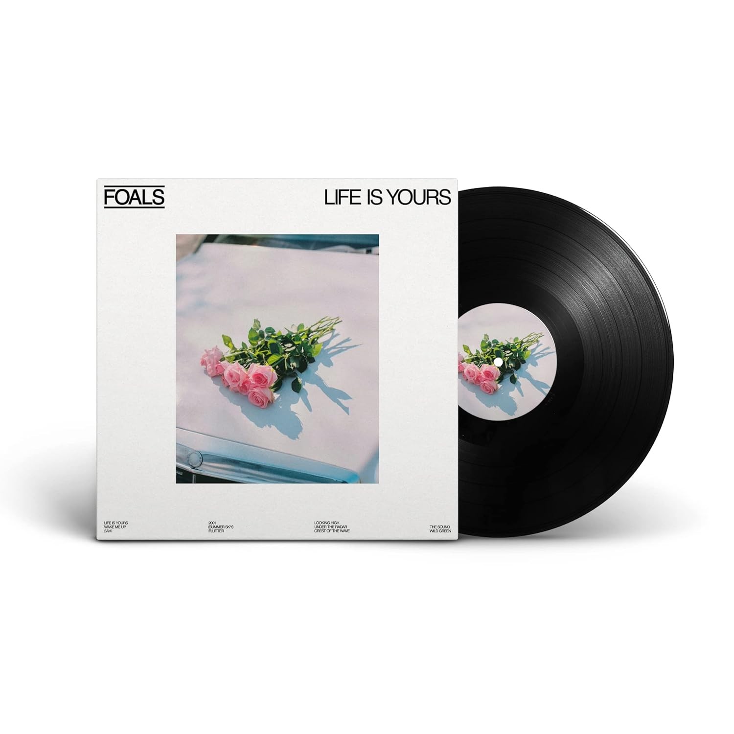 Foals Life Is Yours