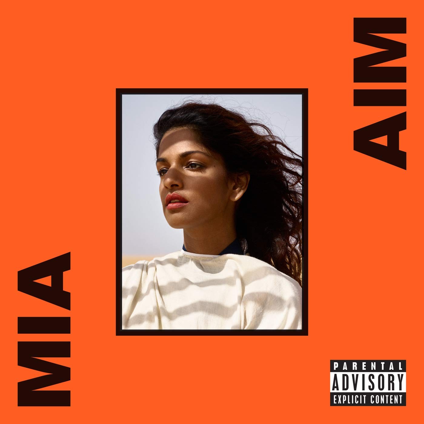 M.I.A.  AIM 