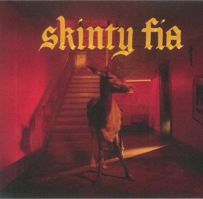 FONTAINES DC Skinty Fia
