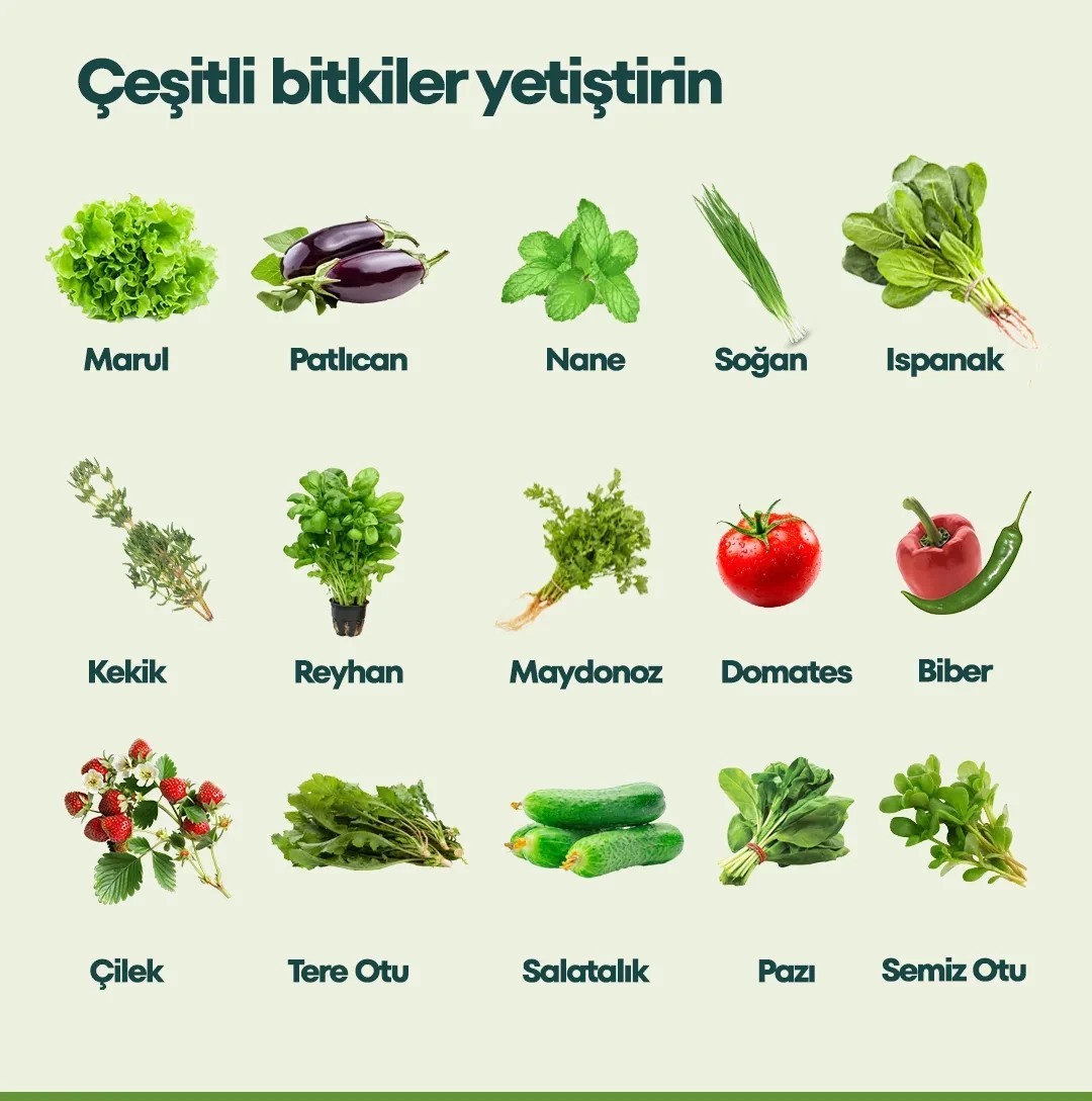 Topraksız Tarımda Neler Yetiştirilebilir?