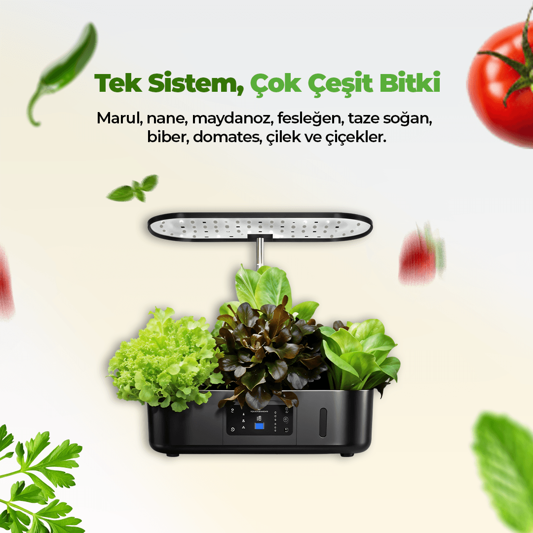 İç Mekan Ledli Hidroponik Hobi Seti Siyah renk