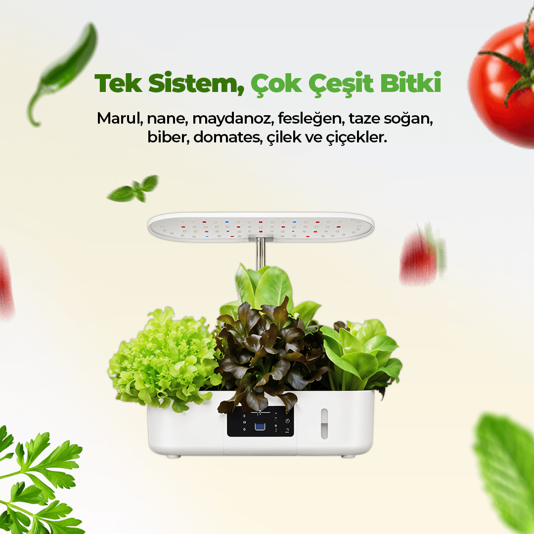 İç mekan Ledli Hidroponik Hobi Seti Beyaz renk
