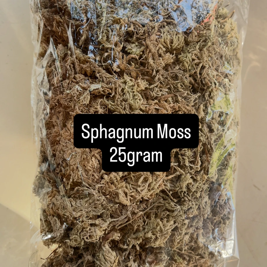 Sphagnum Moss bitki köklendirme yosunu 25gram