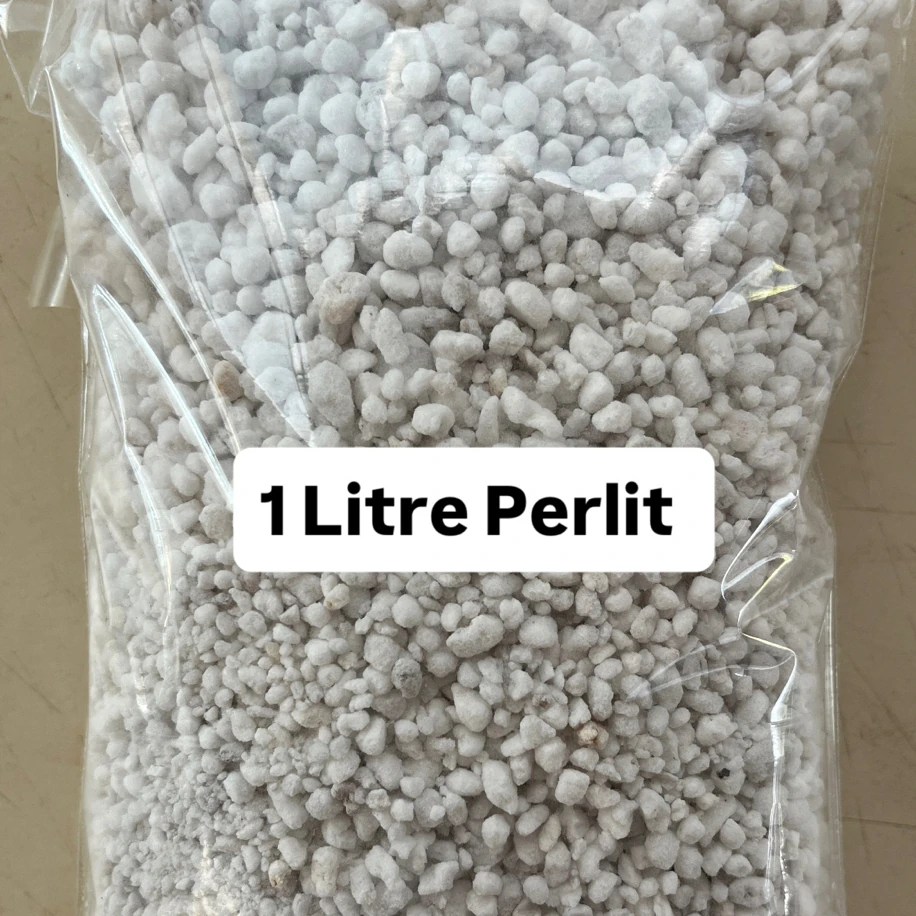 1 Litre Perlit