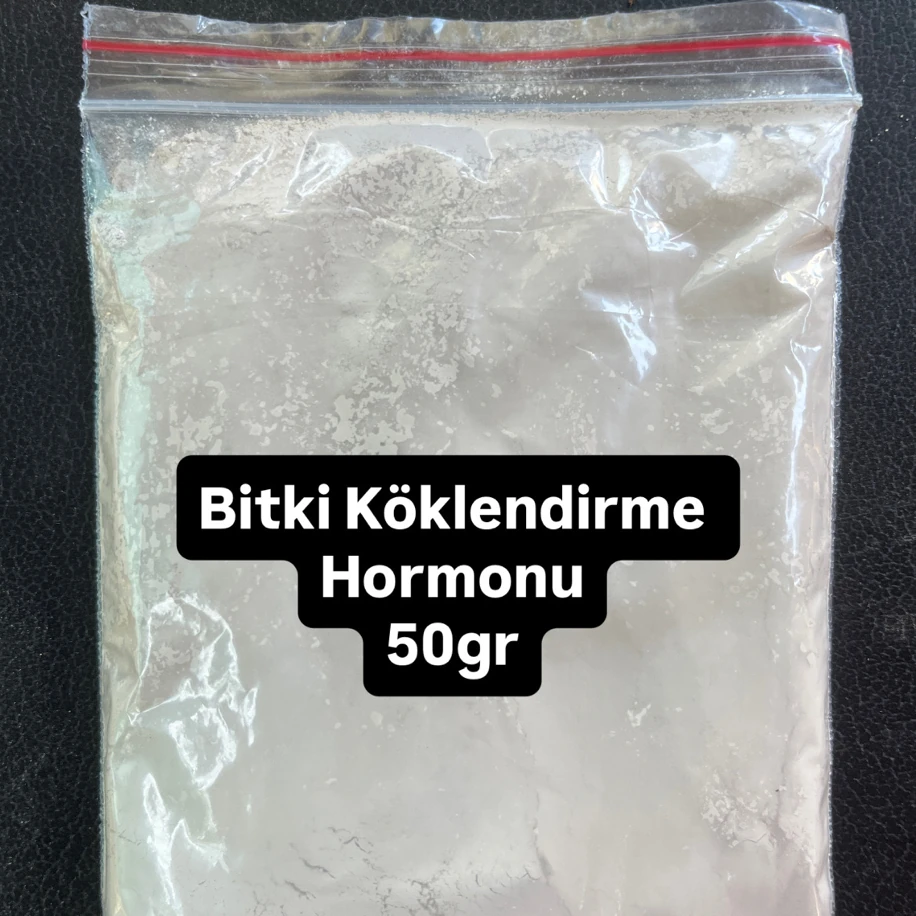 Bitki Köklendirme Hormonu