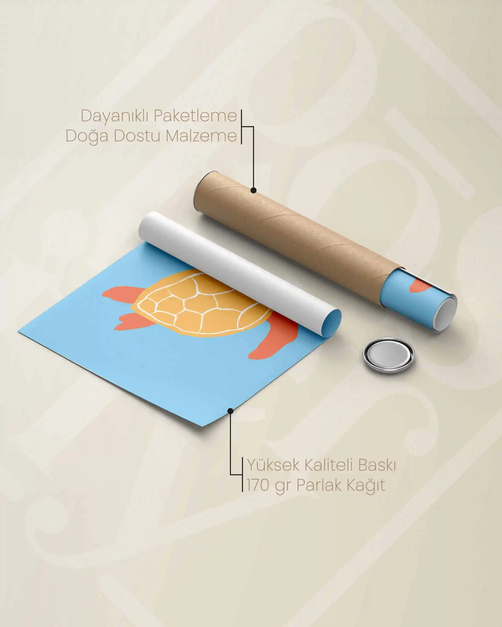 Kaplumbağa - Minimal ve Sevimli Çocuk Odası Poster