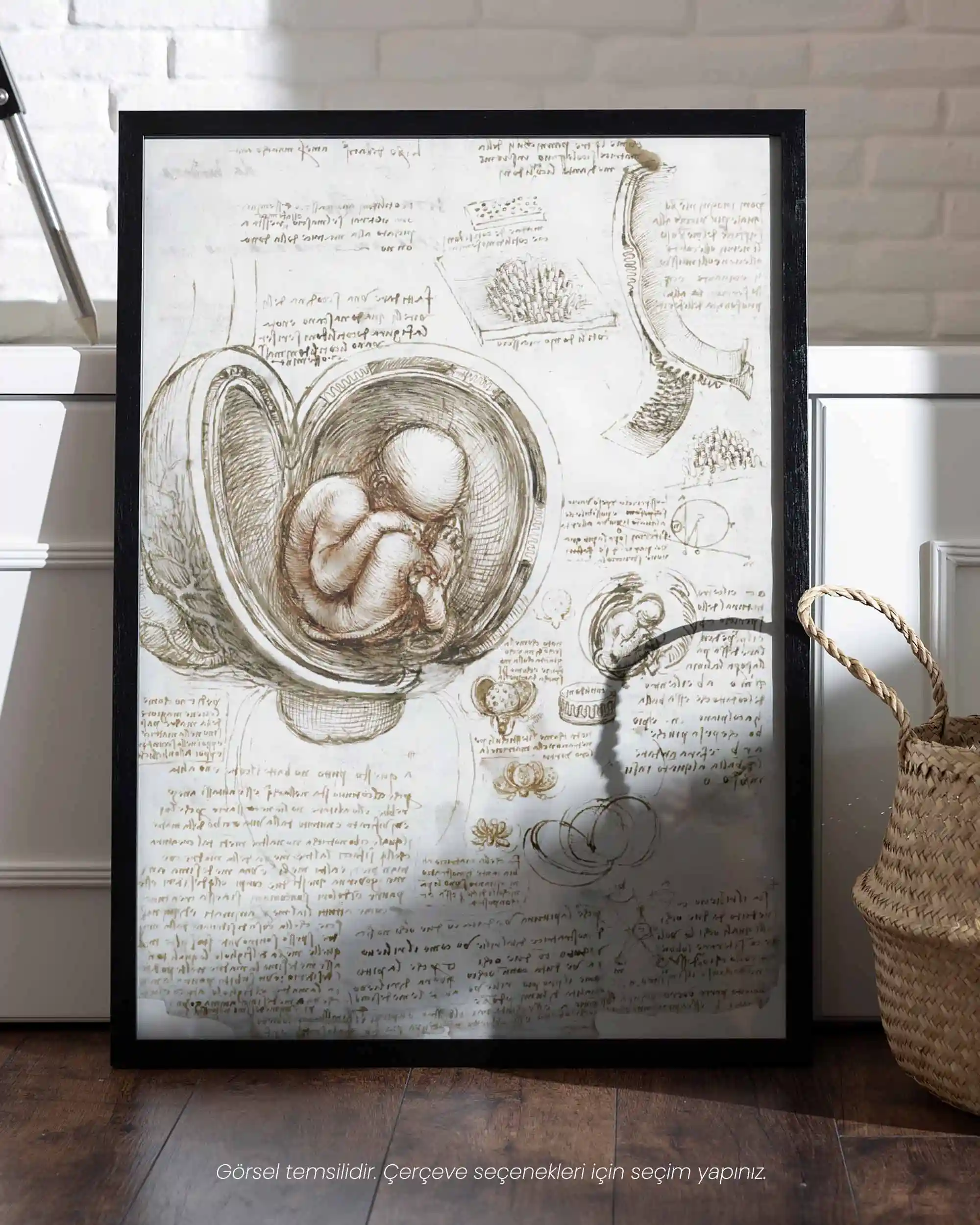 Leonardo da Vinci - Fetüs Çalışmaları (1510-1513) Anatomik Eskiz Sanat Tarihi Poster