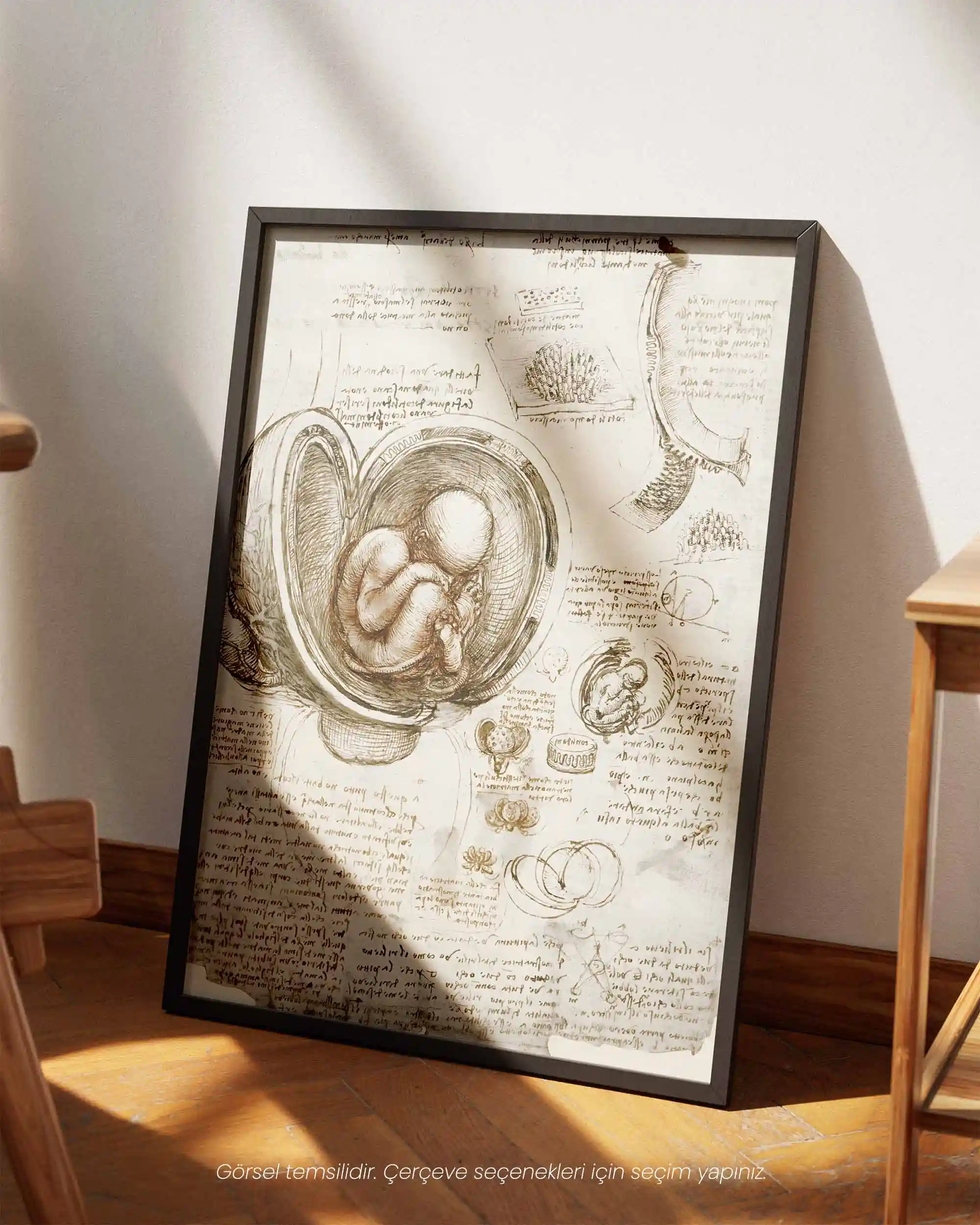 Leonardo da Vinci - Fetüs Çalışmaları (1510-1513) Anatomik Eskiz Sanat Tarihi Poster