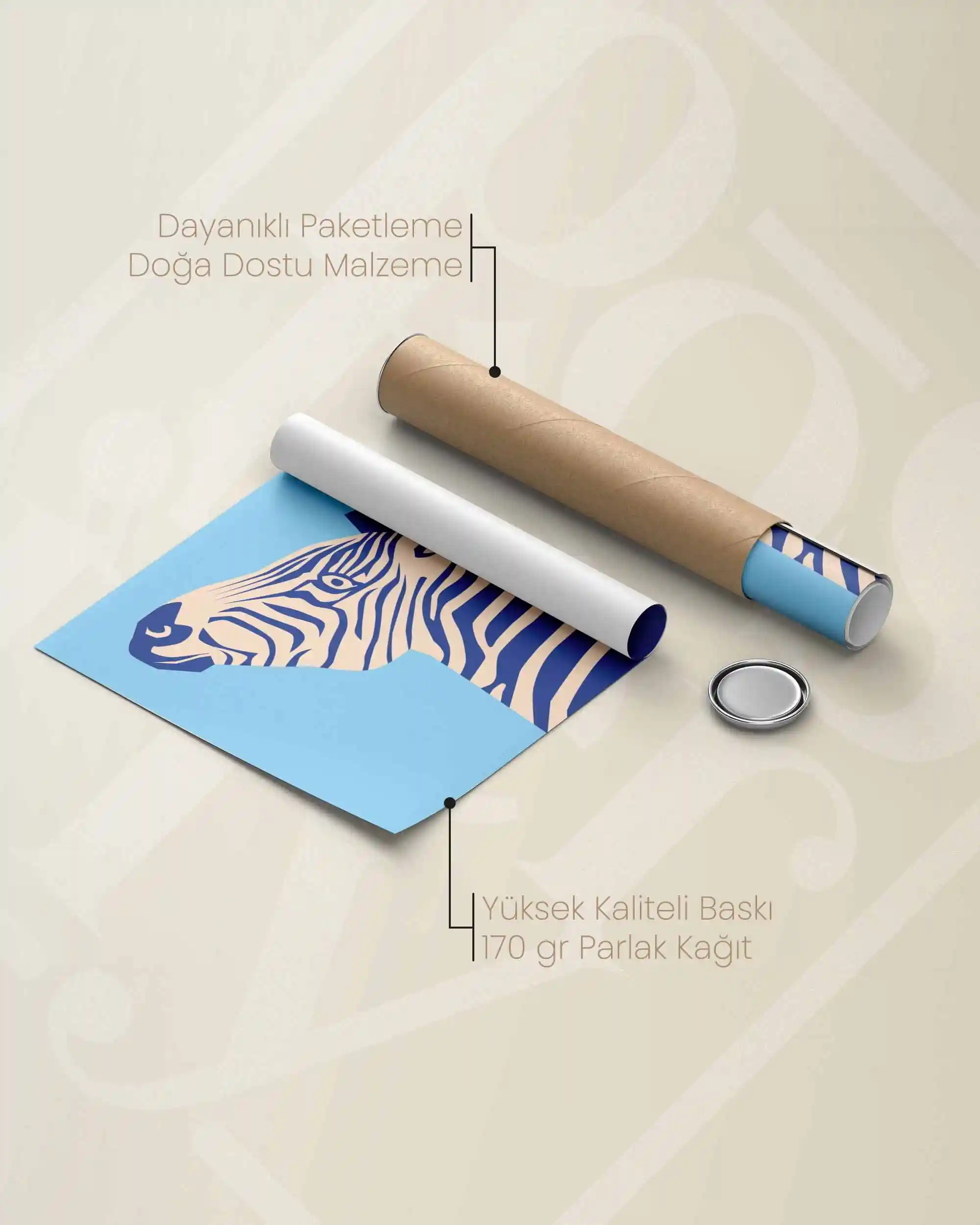 Zebra - Minimal ve Renkli Çocuk Odası Poster