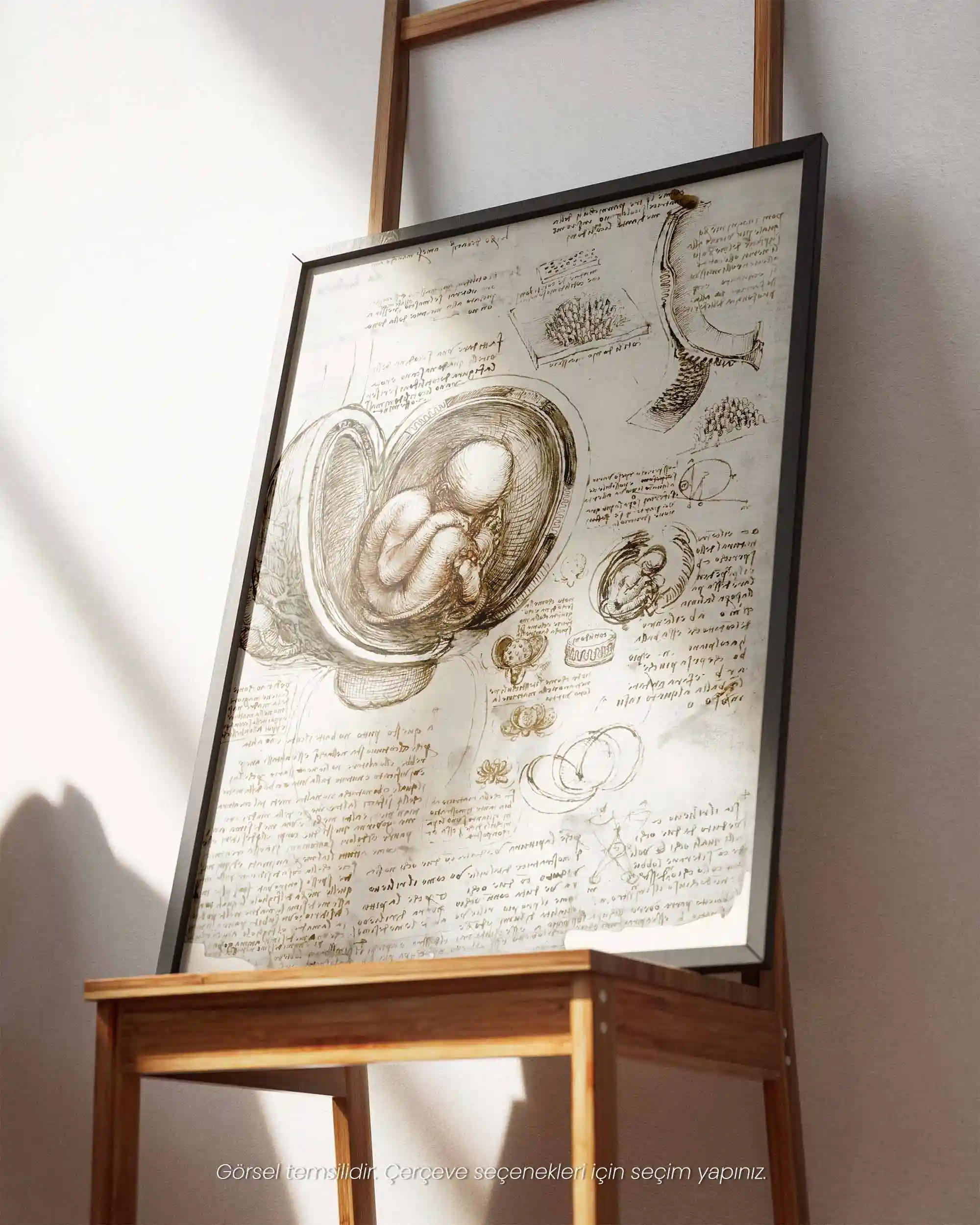Leonardo da Vinci - Fetüs Çalışmaları (1510-1513) Anatomik Eskiz Sanat Tarihi Poster