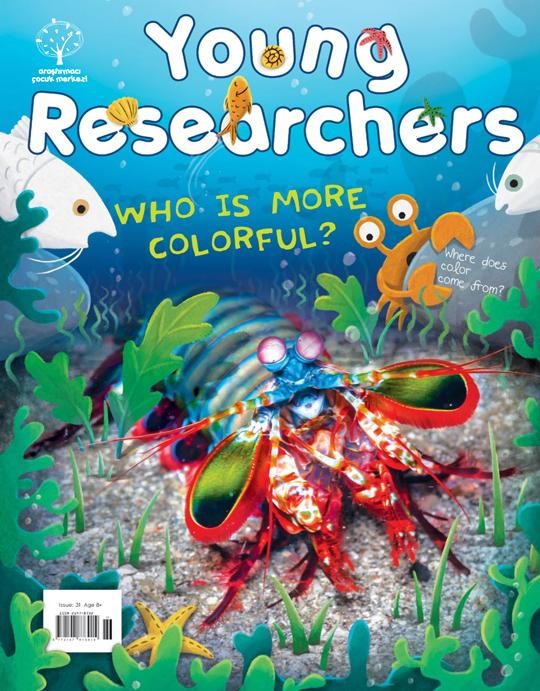 Young Researchers Issue 31: Who is More Colorful?