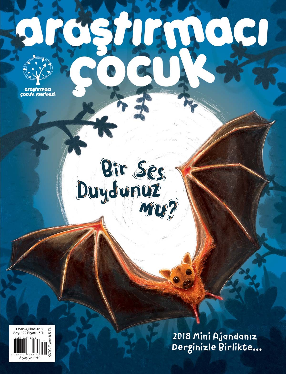 Araştırmacı Çocuk 22. Sayı: Bir Ses Duydunuz mu?