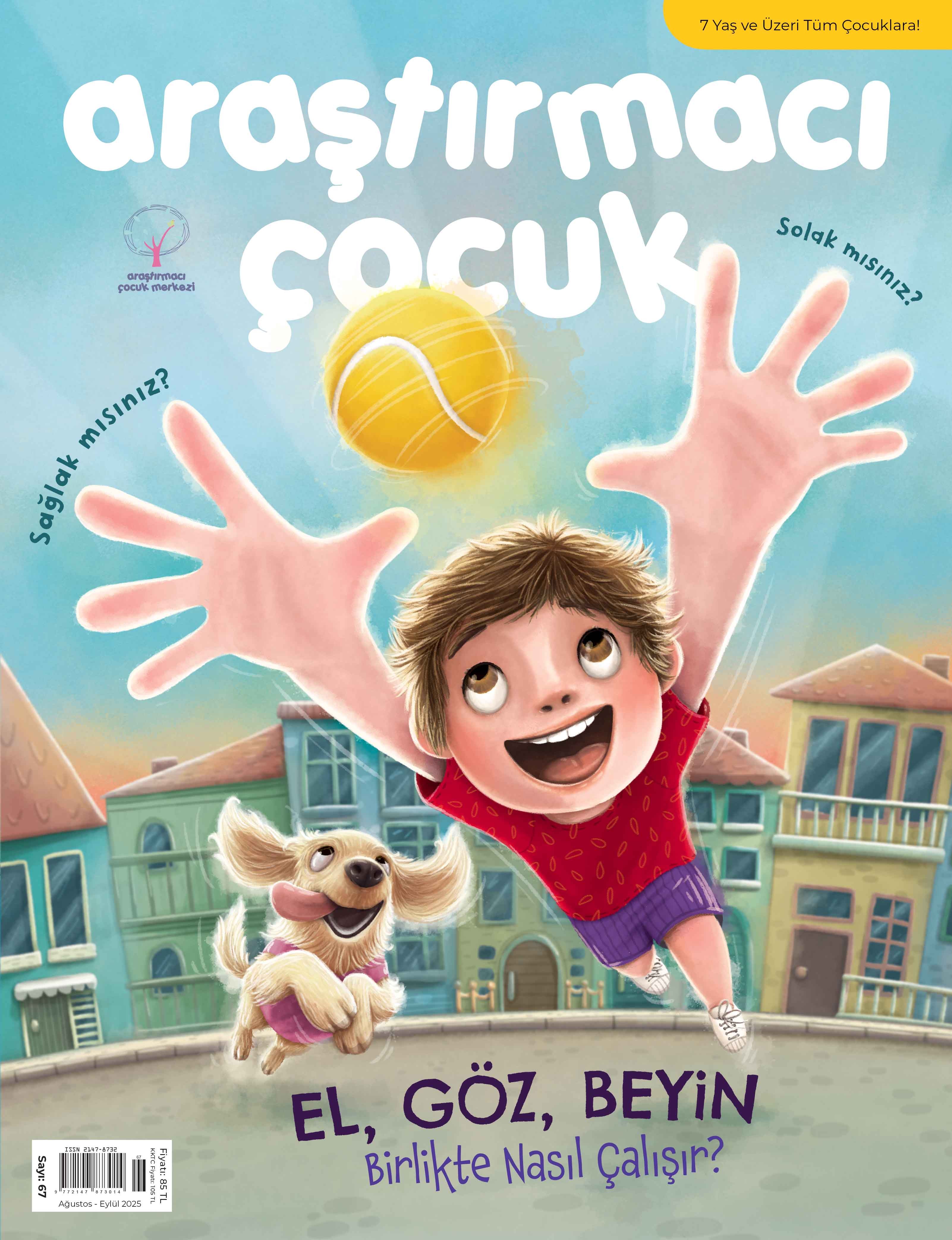 Araştırmacı Çocuk 67. Sayı: El, Göz, Beyin Birlikte Nasıl Çalışır?