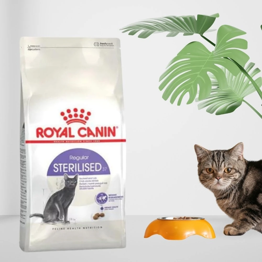 ROYAL CANIN STERILISED YETİŞKİN KEDİ MAMASI 1 Kg.