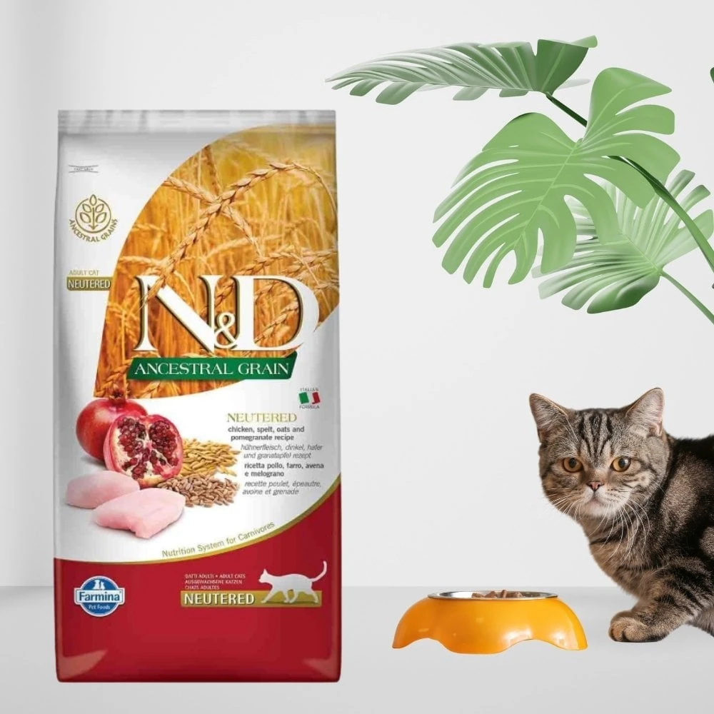 N&D Ancestral Grain Kuru Kedi Maması, Tavuk, Kılçıksız Buğday, Yulaf ve Narlı, Kısırlaştırılmış, Yetişkin, 1 kg