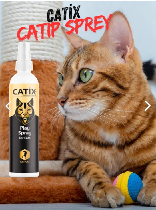 CATİX Play Sprey For Cats (Kediler için Oyun Spreyi) - 100 ml