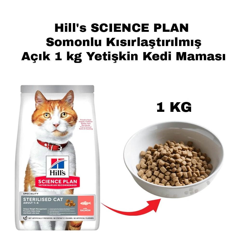 Hill's SCIENCE PLAN Somonlu Kısırlaştırılmış Açık 1 kg Yetişkin Kedi Maması
