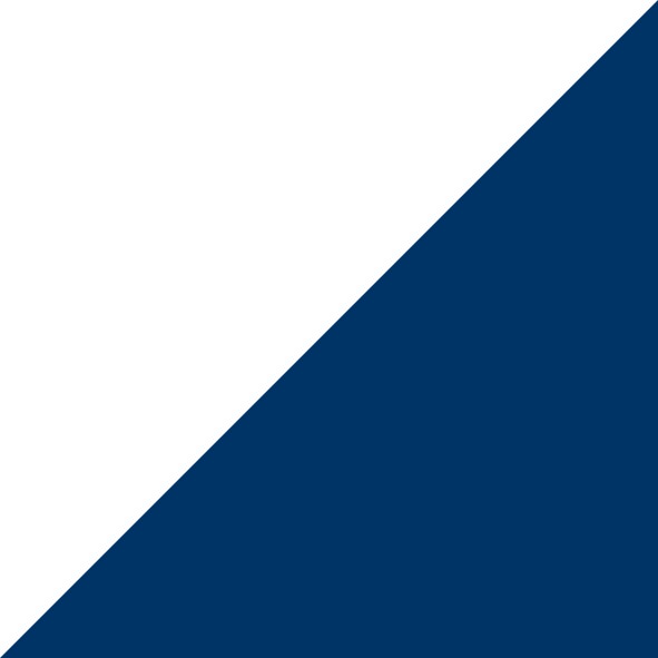 Beyaz-Lacivert