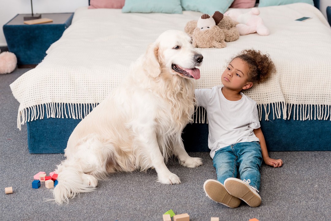 Köpeğinizle Vakit Geçirin