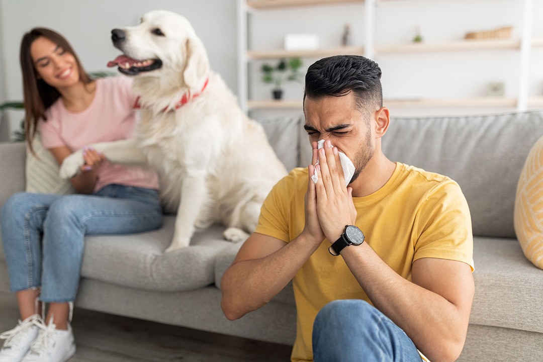 Evcil hayvan alerjisi nedir?