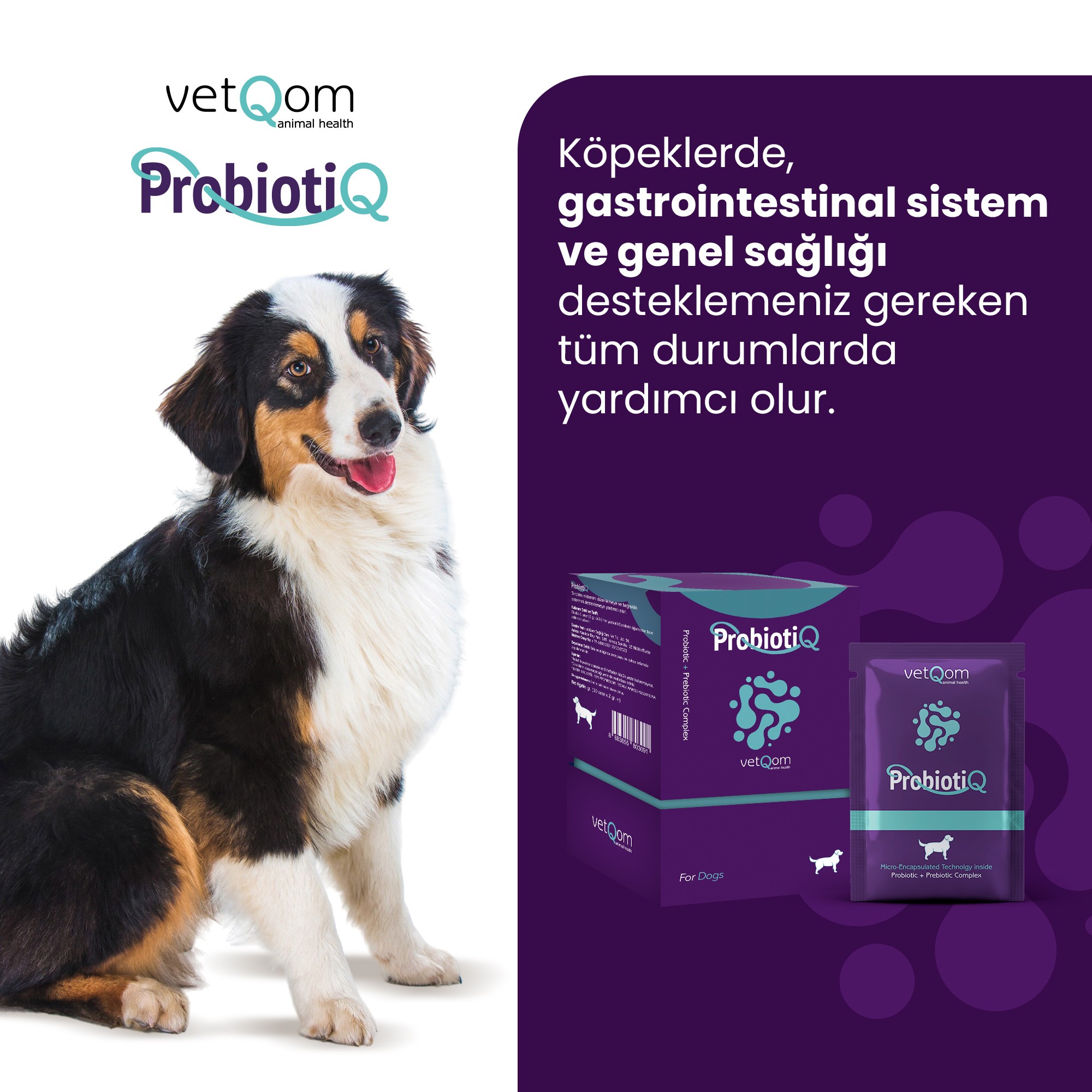 Köpek ProbiotiQ – Probiyotik + Prebiyotik Kompleks – 10 saşe