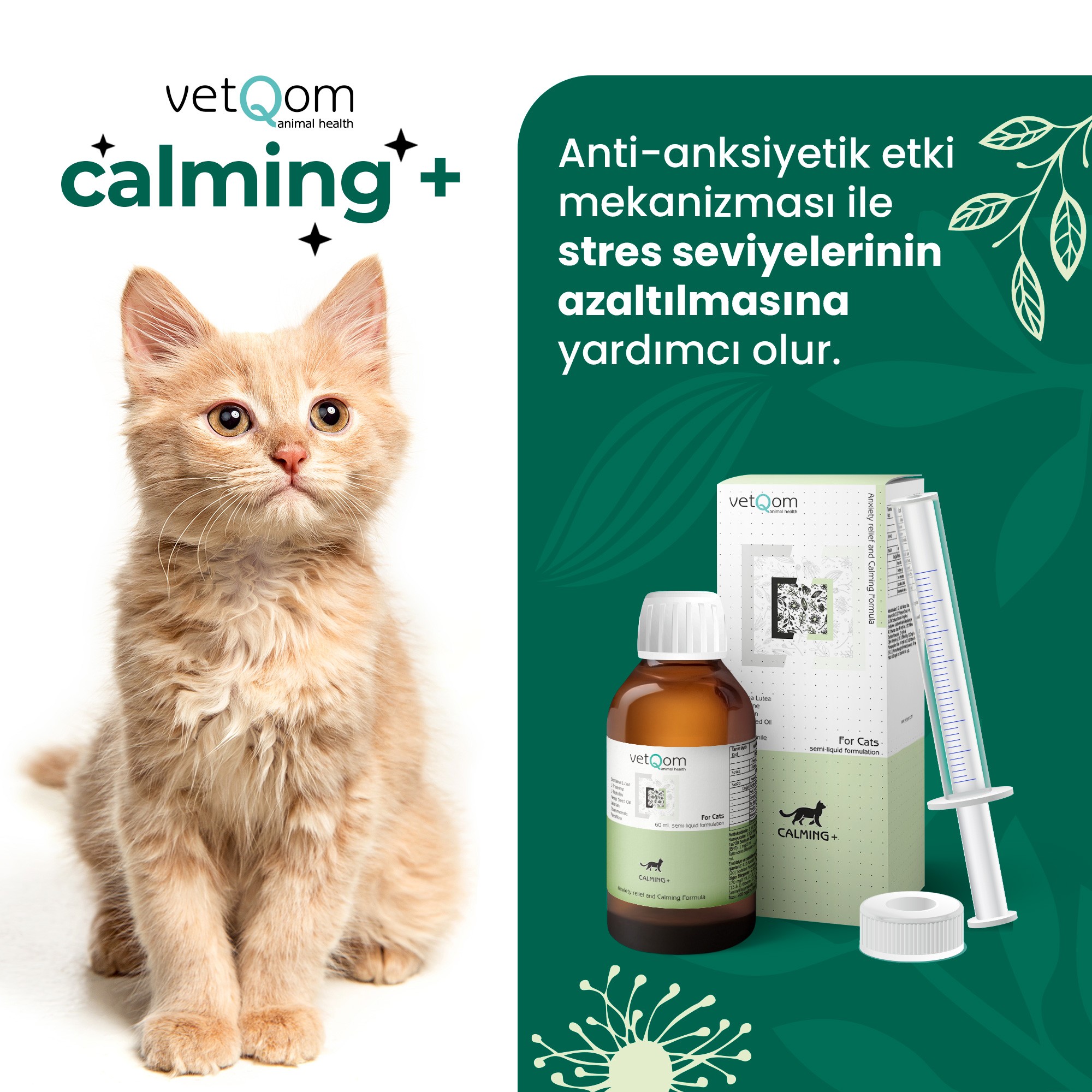 Kedi Calming+ Stres Yönetimi – Kaygı Kontrolü – 60 ml.