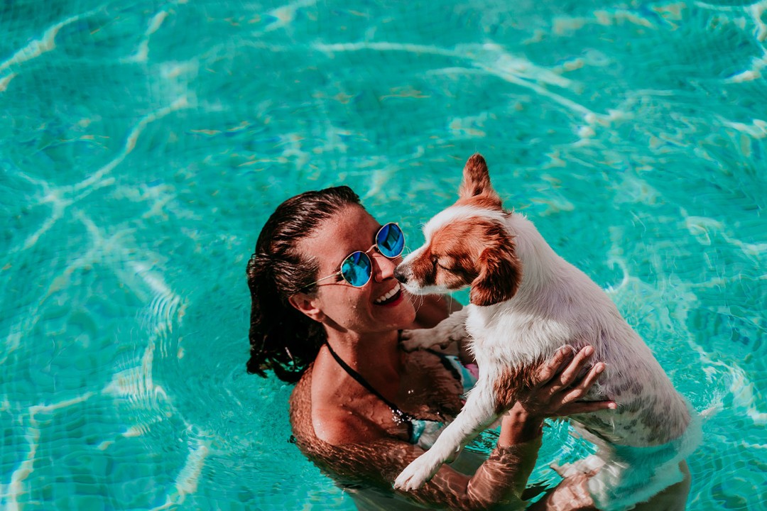 Yaz aylarında köpeğiniz ile yapabileceğiniz aktiviteler