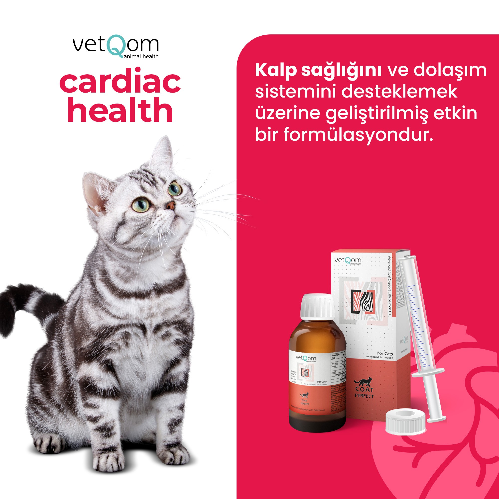 Kedi Cardiac Health – Kalp Sağlığı – Kilo Kontrolü – 60 ml.