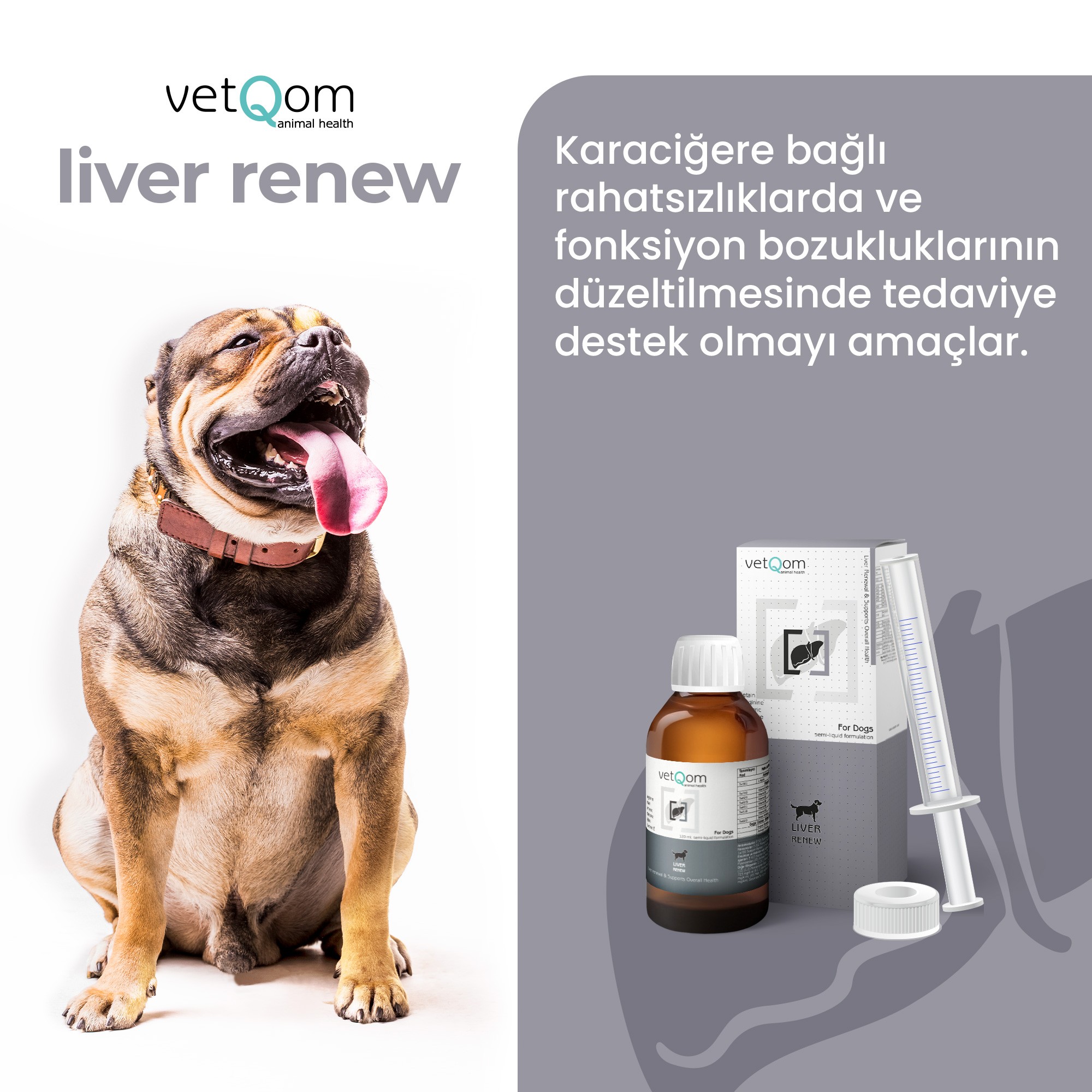 Köpek Liver Renew – Karaciğer Sağlığı – 120 ml.