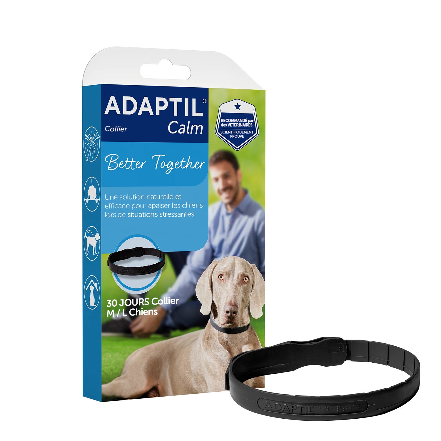 Adaptil Calm Collar (Tasma) Köpek - Orta ve Büyük Boy (M-L)