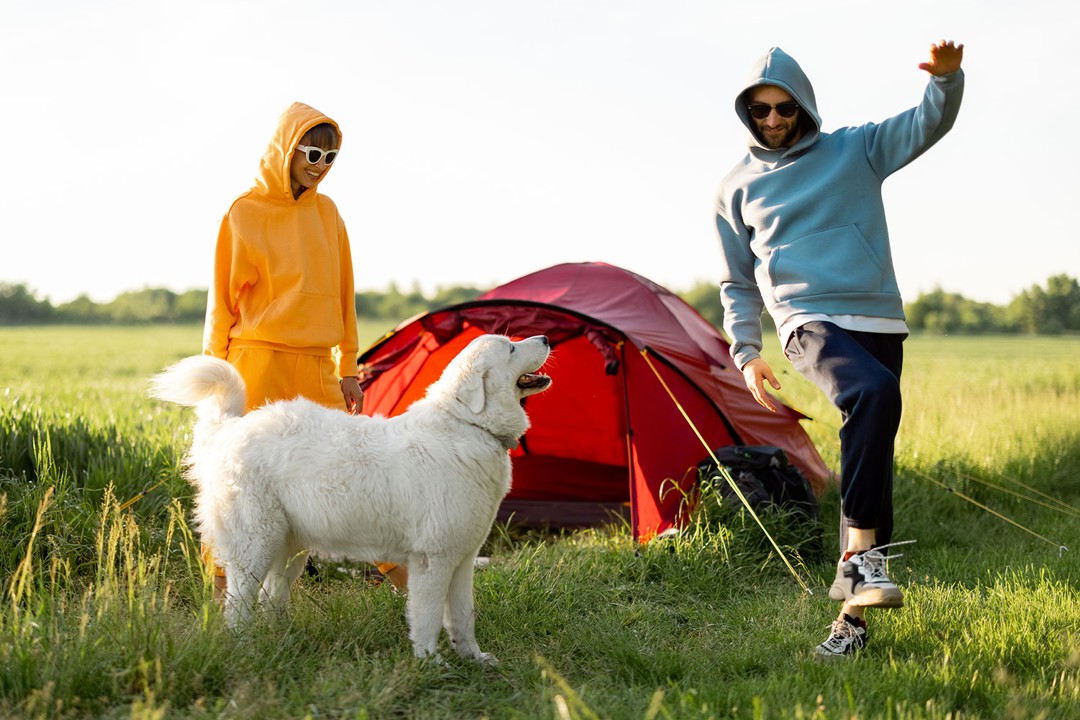 Köpeklerle kamp aktiviteleri