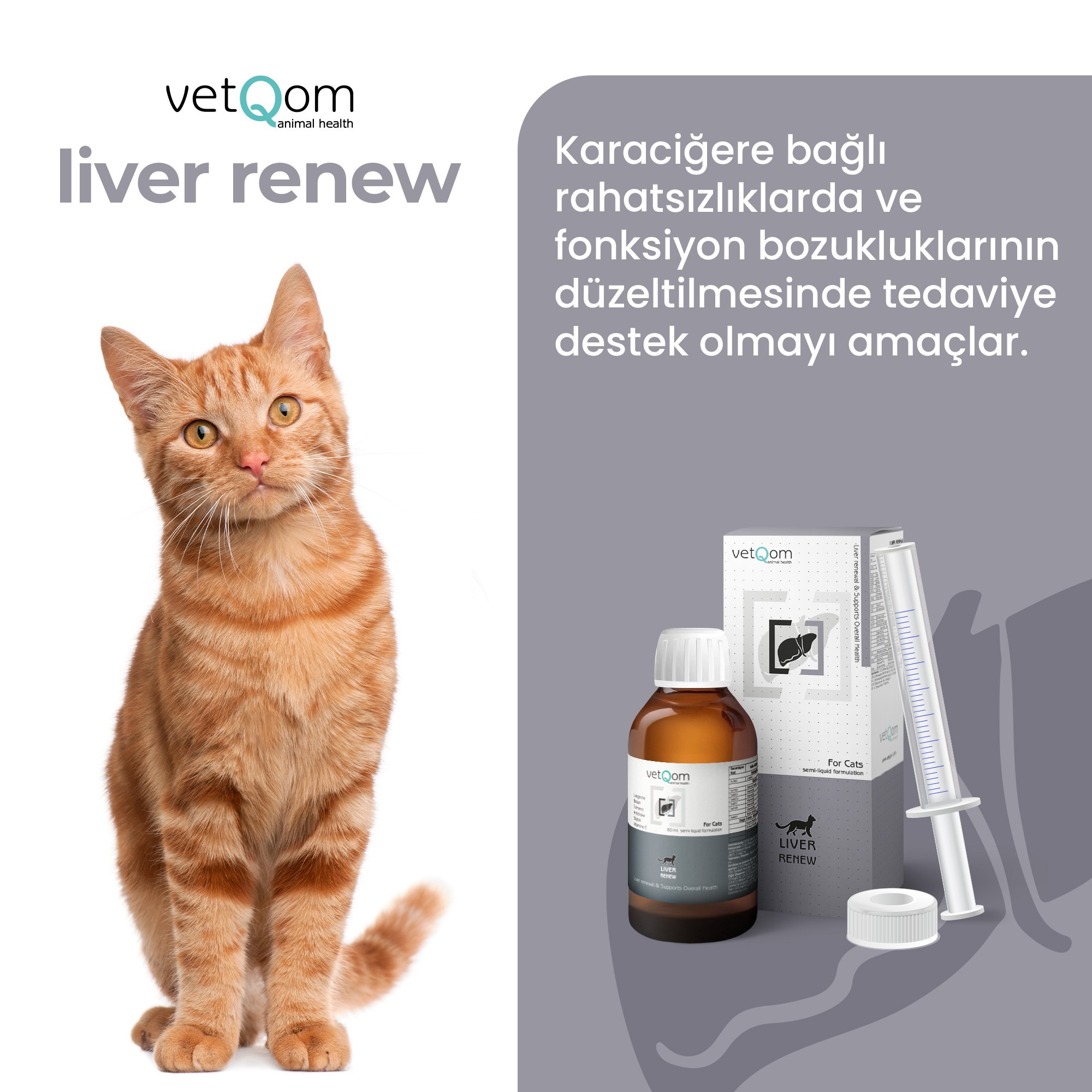 Kedi Liver Renew – Karaciğer Sağlığı – 60 ml.