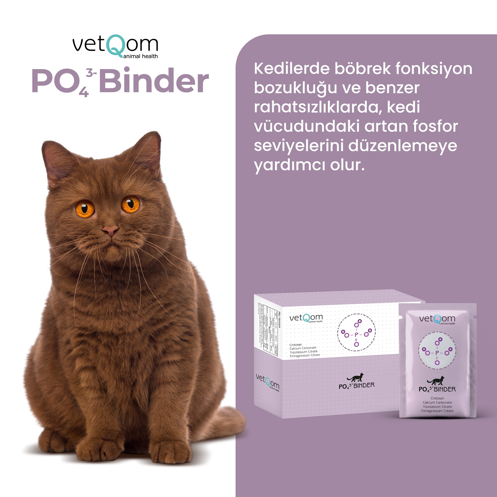 Kedi PO Binder – Fosfat Yönetimi – Böbrek Sağlığı – 30 saşe