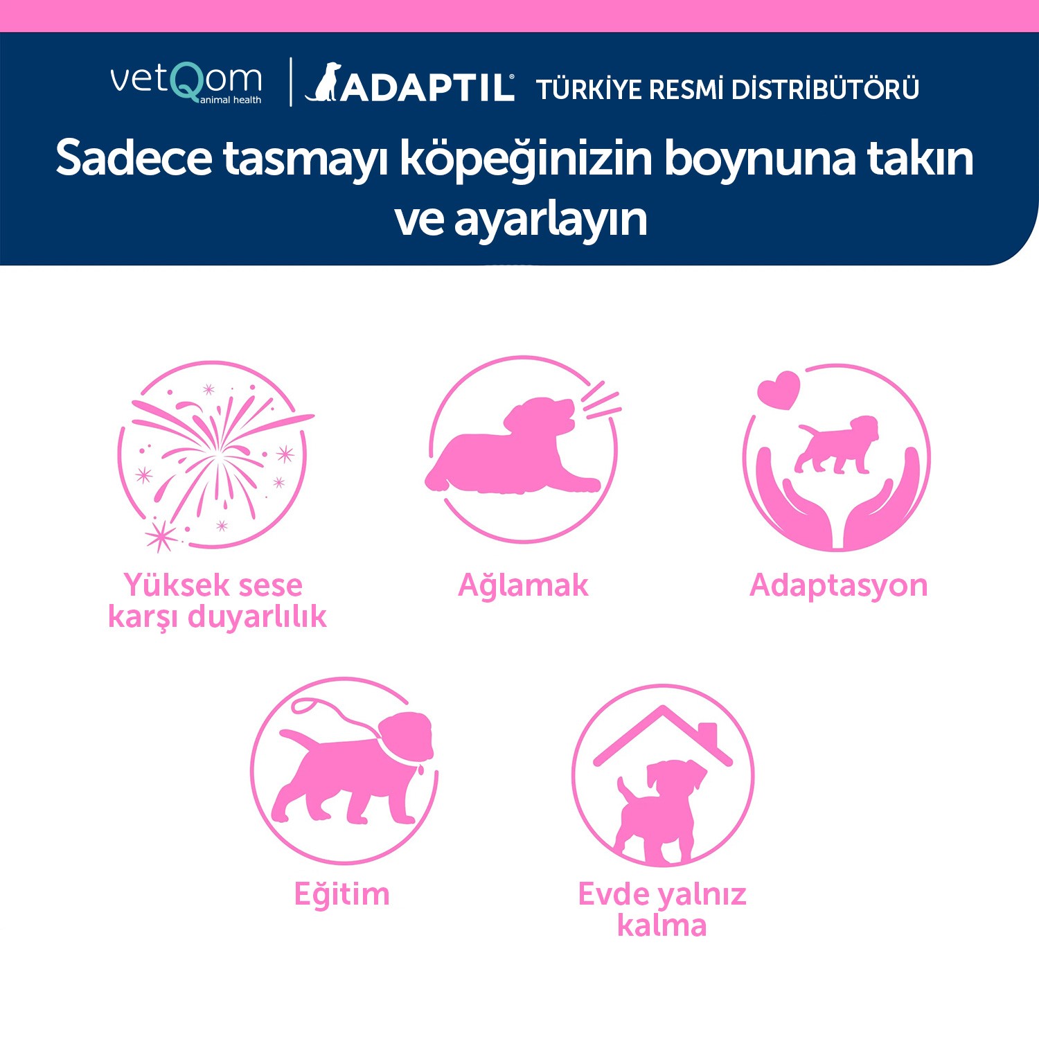 Adaptil Junior Collar (Tasma) Bebek Köpek