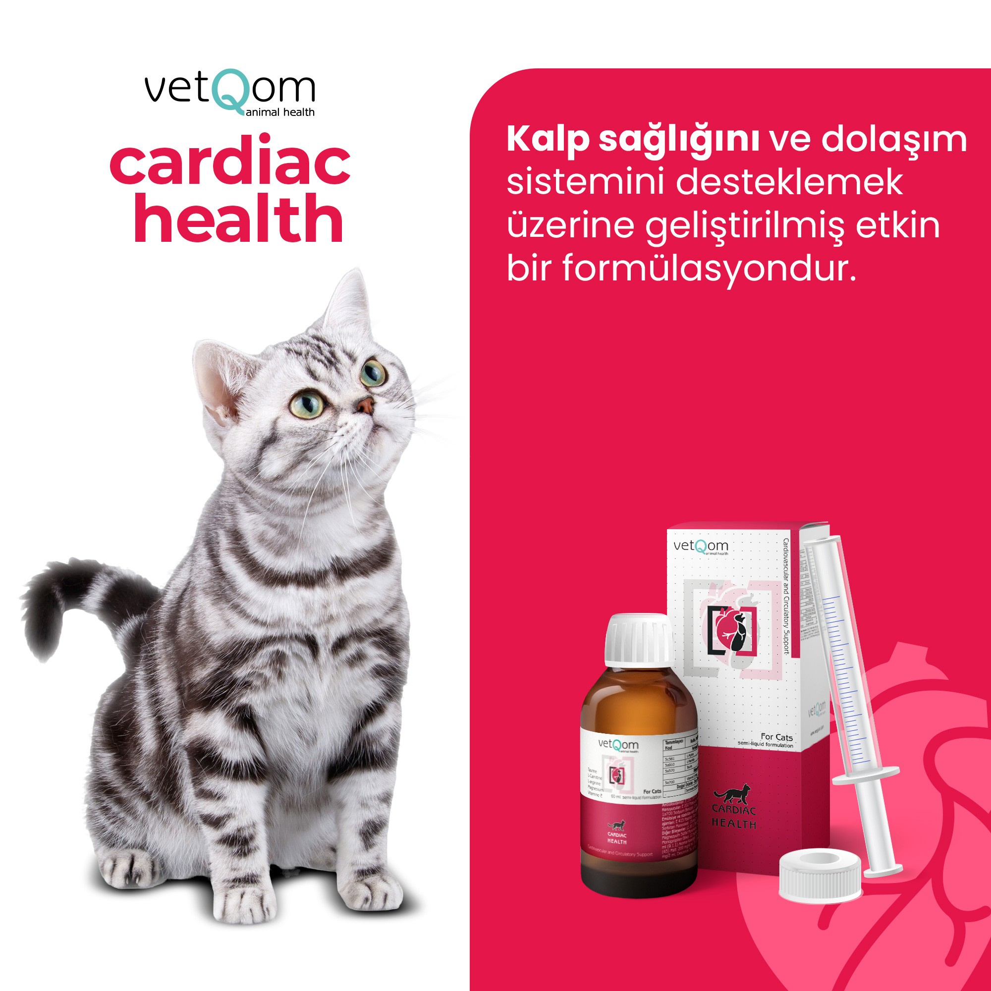 Kedi Cardiac Health – Kalp Sağlığı – Kilo Kontrolü – 60 ml.