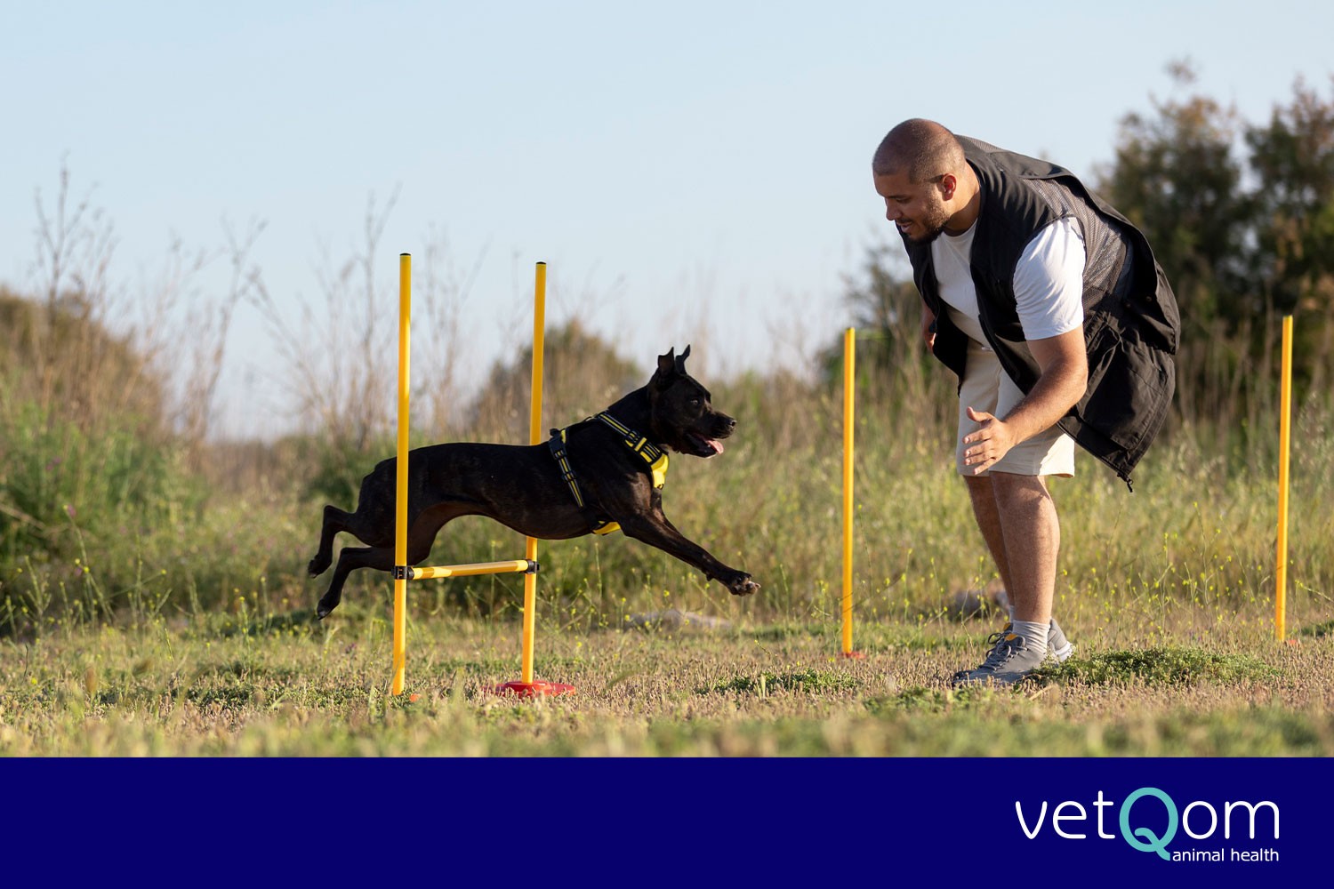 KÖPEĞİNİZ İÇİN TEMEL EĞİTİM REHBERİ